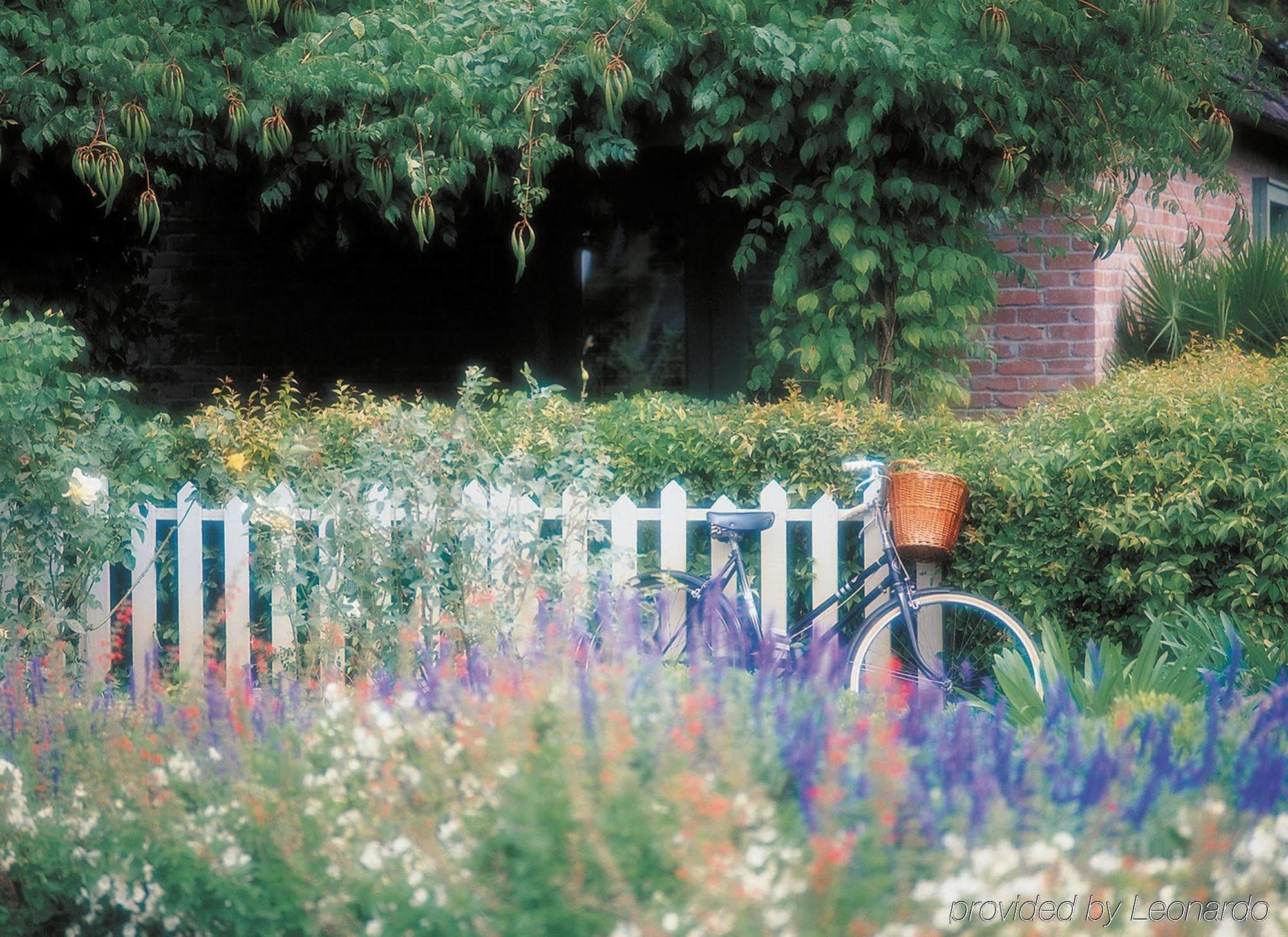 Vintage House At The Estate Yountville Exterior foto